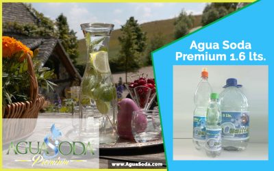 Agua Soda Premium 1.6 lts.