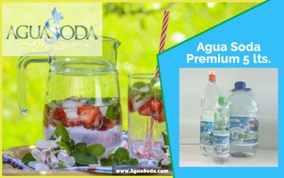 Agua Soda Premium 5 lts.